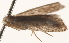  ( - BIOUG19292-G08)  @12 [ ] CreativeCommons - Attribution (2015) CBG Photography Group Centre for Biodiversity Genomics