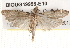  ( - BIOUG19955-E10)  @13 [ ] CreativeCommons - Attribution (2015) CBG Photography Group Centre for Biodiversity Genomics