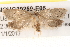  ( - BIOUG20259-E05)  @13 [ ] CreativeCommons - Attribution (2015) CBG Photography Group Centre for Biodiversity Genomics